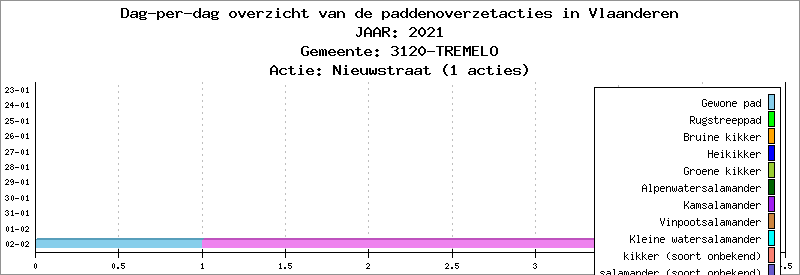 Dag-per-dag overzicht 2021 - Nieuwstraat